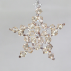 Star - Earrings Ara - 2